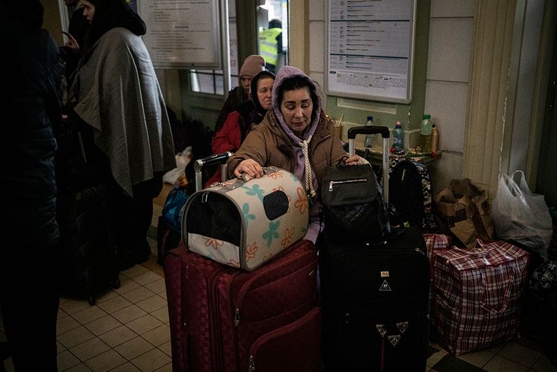 © Javier Fergo - Image from the Ukrainian refugee animals photography project