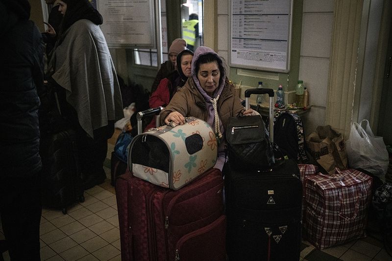 © Javier Fergo - Image from the Ukrainian refugee animals photography project