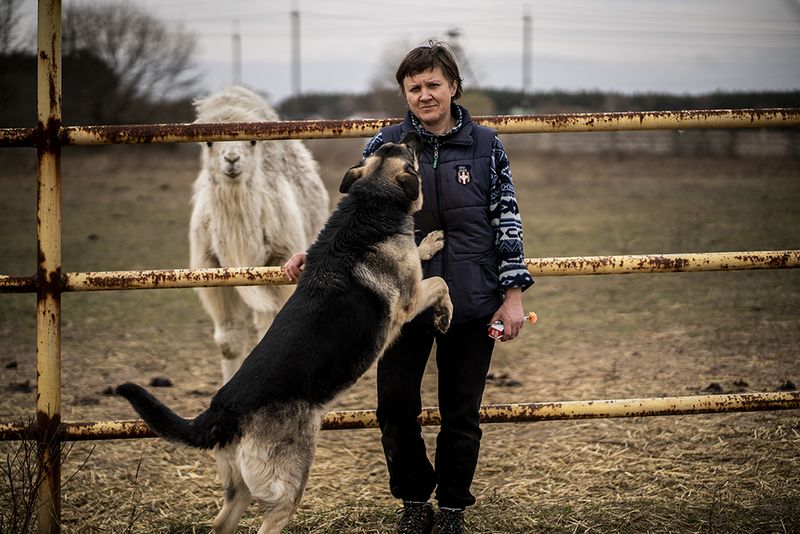 © Javier Fergo - Image from the Ukrainian refugee animals photography project
