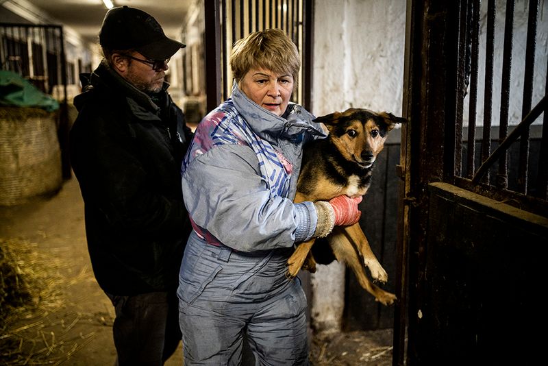 © Javier Fergo - Image from the Ukrainian refugee animals photography project