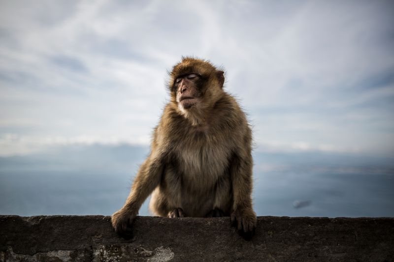 © Javier Fergo - Image from the 7Km2 - Gibraltar photography project