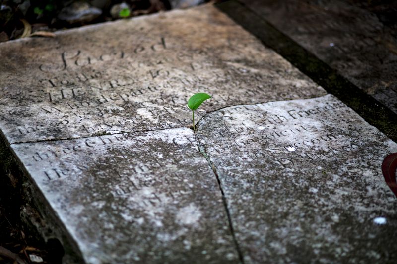 © Javier Fergo - Image from the 7Km2 - Gibraltar photography project