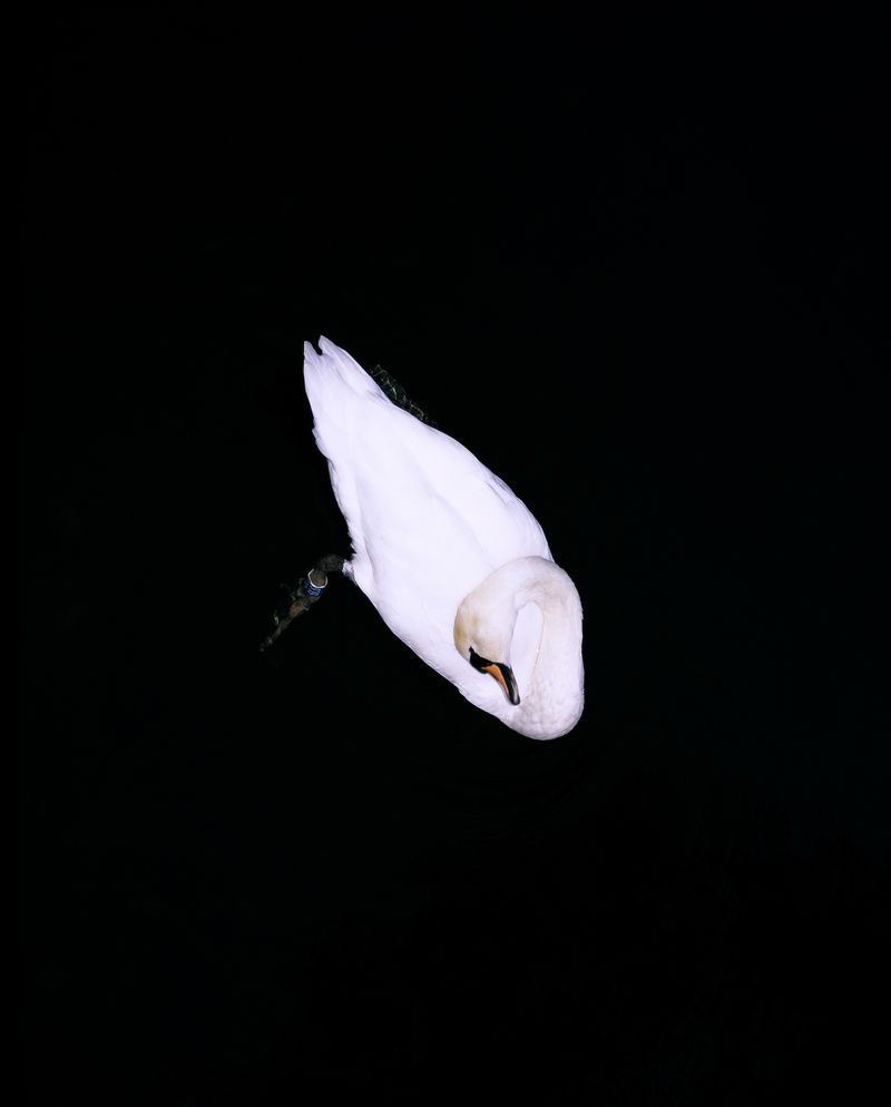 © Tito Mouraz - #12 Fluvial©Tito Mouraz, Portugal, 2017