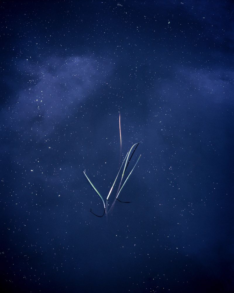 © Tito Mouraz - #07 Fluvial©Tito Mouraz, Portugal, 2018