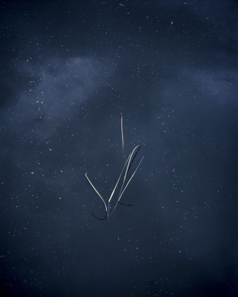 © Tito Mouraz - #07 Fluvial©Tito Mouraz, Portugal, 2018