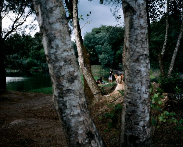 © Tito Mouraz - #03 Fluvial©Tito Mouraz, Portugal, 2015