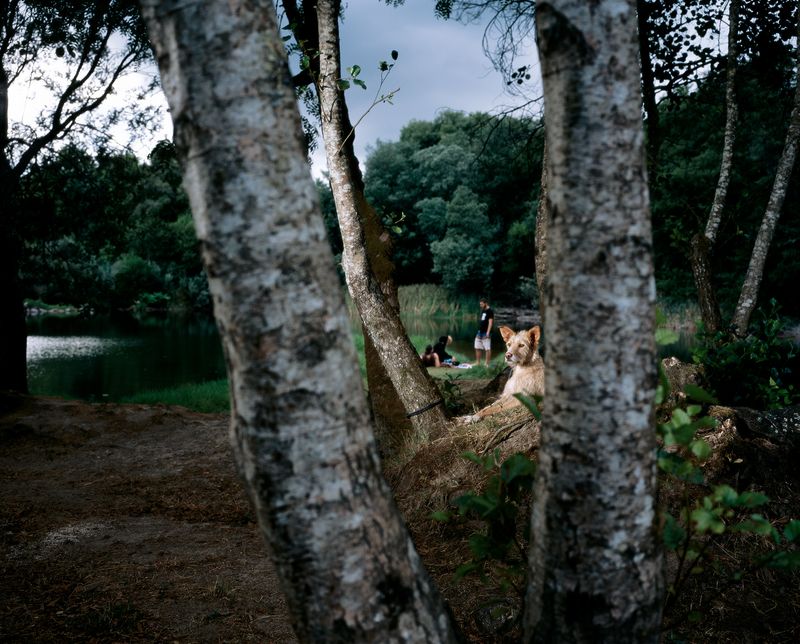 © Tito Mouraz - #03 Fluvial©Tito Mouraz, Portugal, 2015