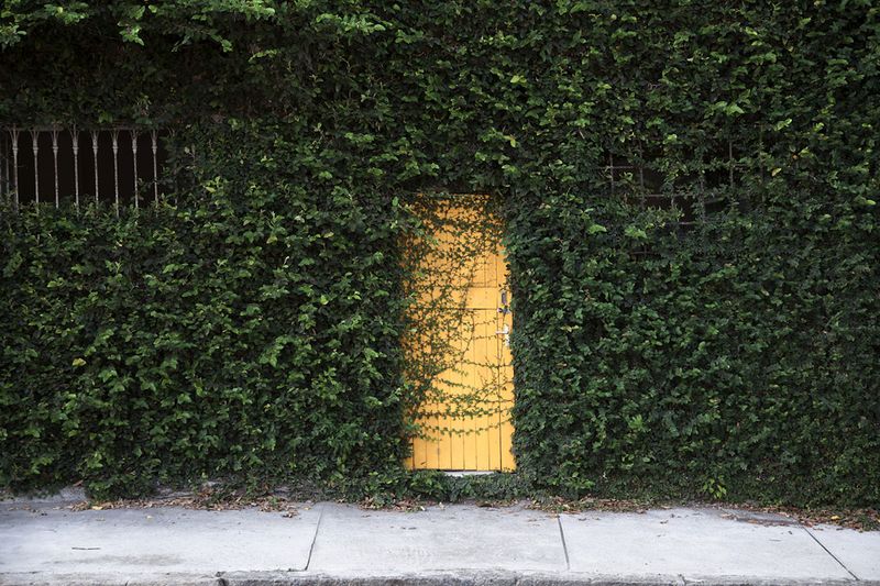 © claudia tavares - Image from the A Garden in Forest photography project