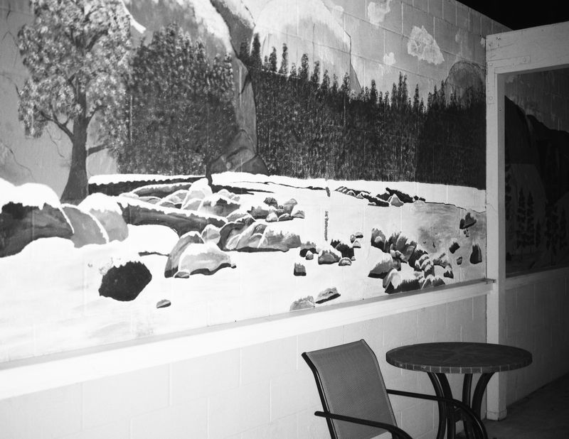 © Maya Meissner - Image from the The Cedar Lodge photography project