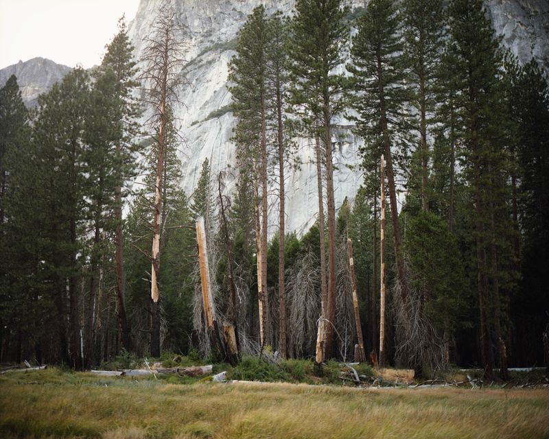 © Maya Meissner - Image from the The Cedar Lodge photography project