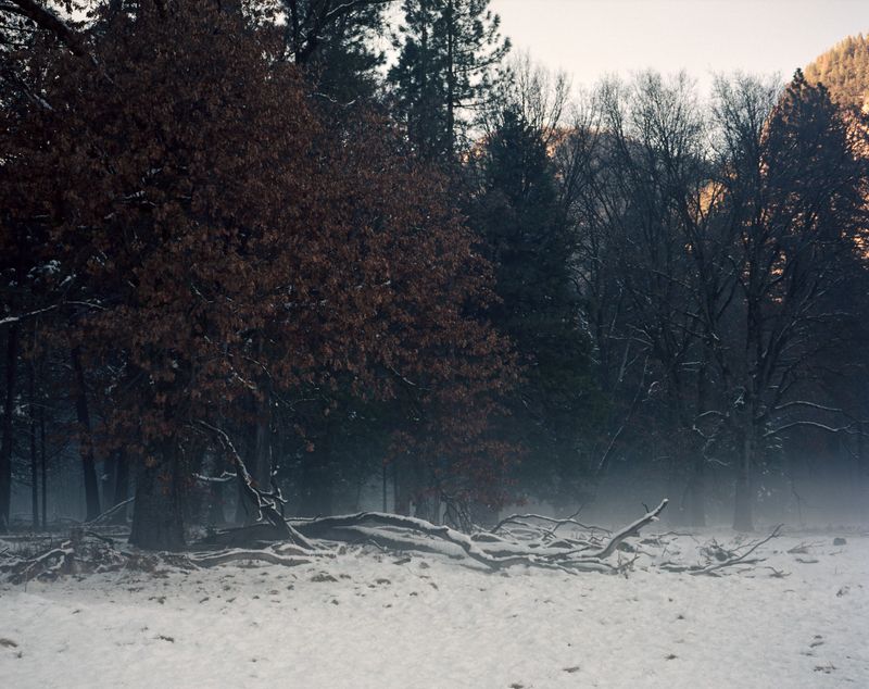 © Maya Meissner - Image from the The Cedar Lodge photography project