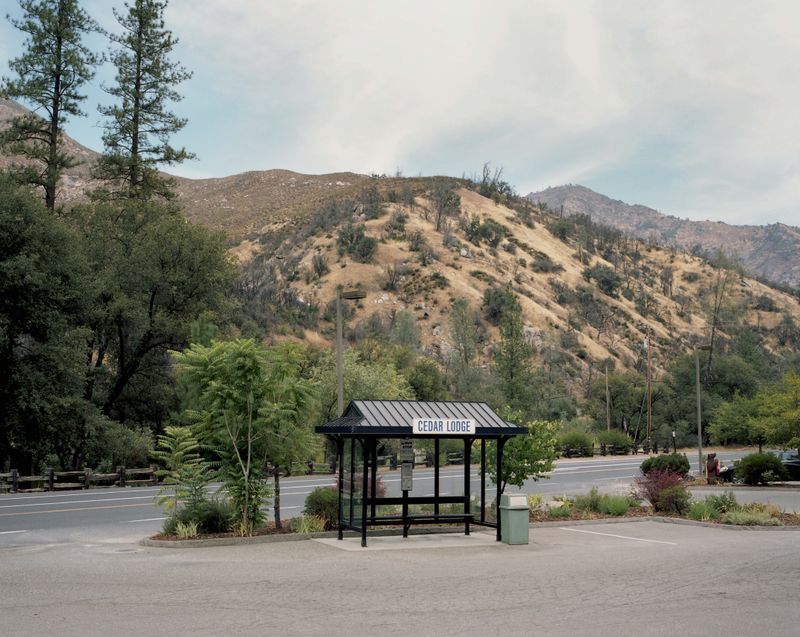 © Maya Meissner - Image from the The Cedar Lodge photography project