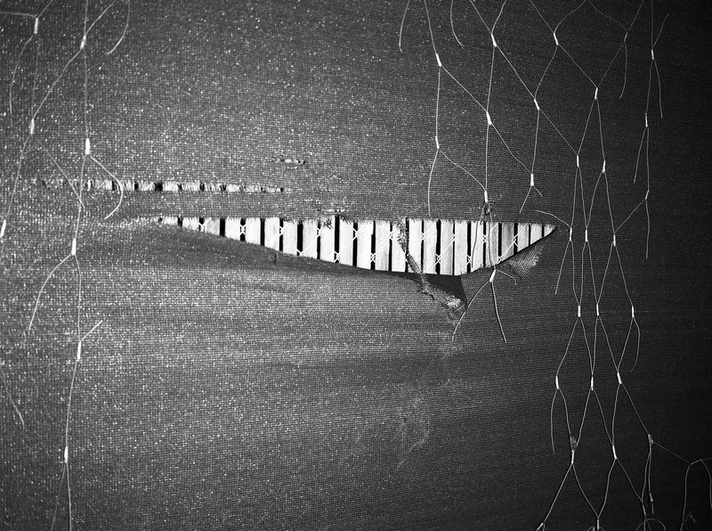 © Maya Meissner - Image from the The Cedar Lodge photography project