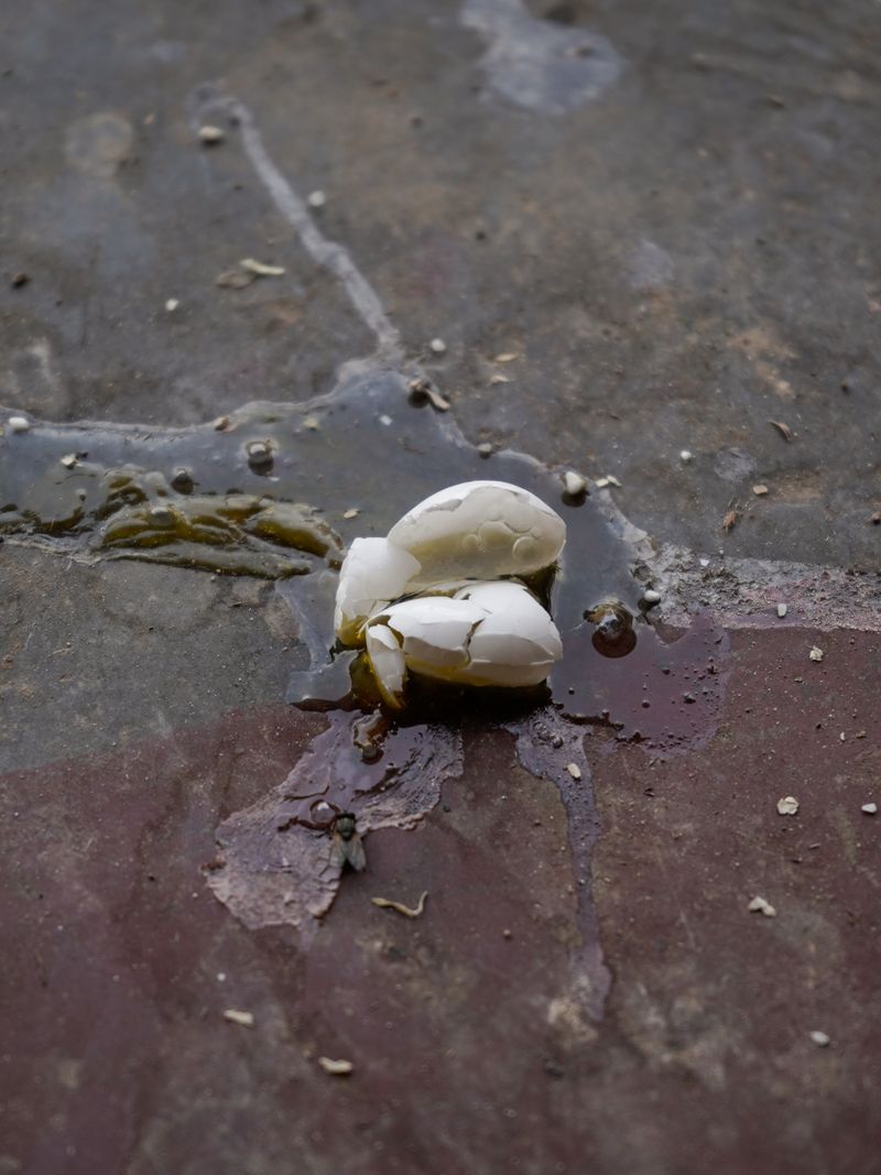 © Niharika Chauhan - Image from the To Lose A River photography project