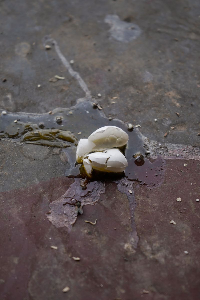 © Niharika Chauhan - Image from the Time is a River photography project