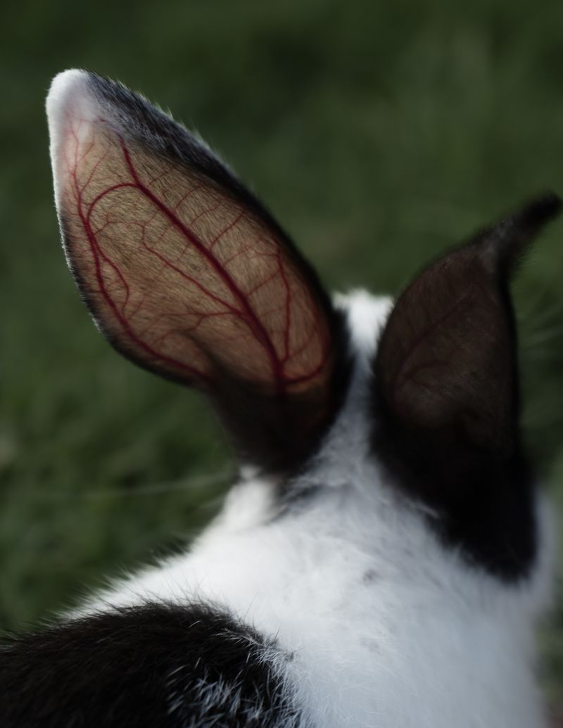 © Niharika Chauhan - Image from the Time is a River photography project