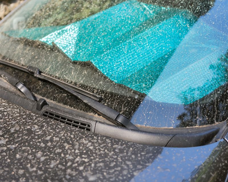 © Pamela Pecchio - Image from the Seizure photography project