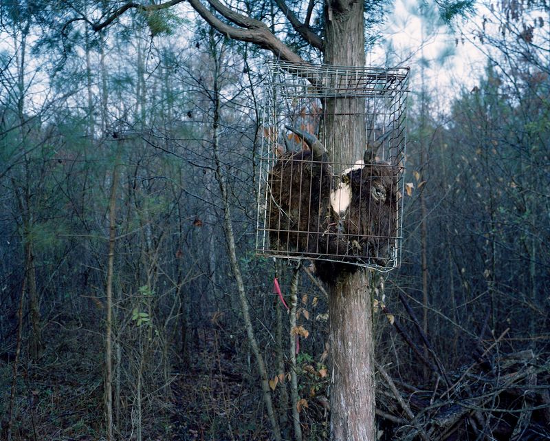 © Pamela Pecchio - Image from the Seizure photography project