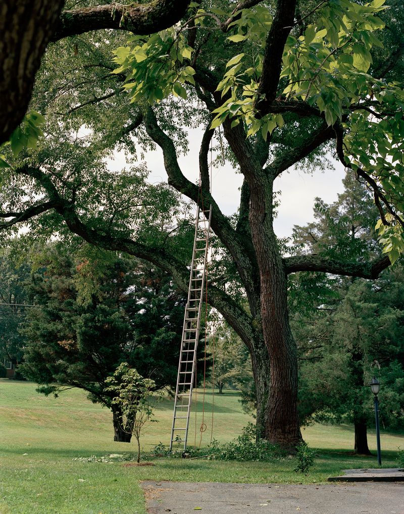 © Pamela Pecchio - Image from the Seizure photography project