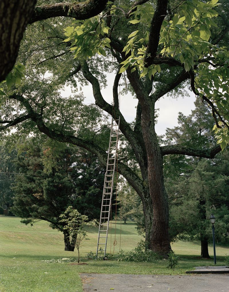 © Pamela Pecchio - Image from the Seizure photography project