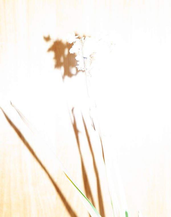 © Pamela Pecchio - Image from the Seizure photography project