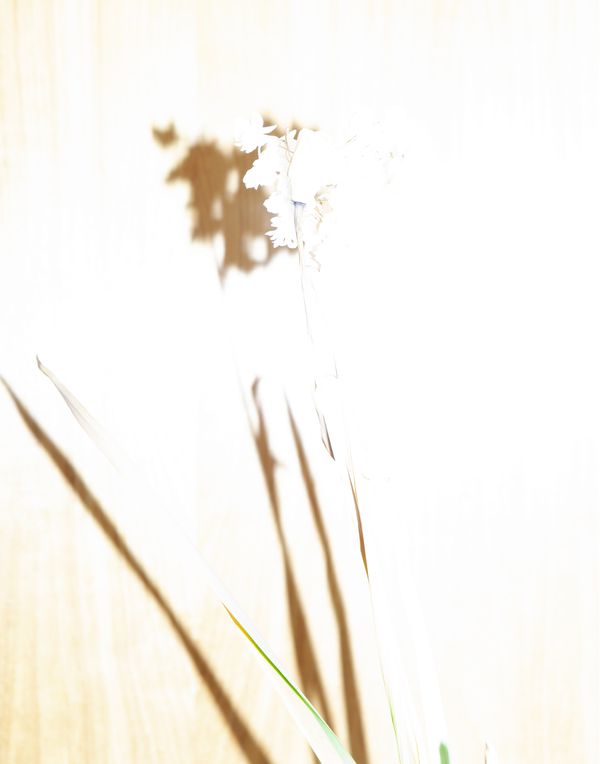 © Pamela Pecchio - Image from the Seizure photography project