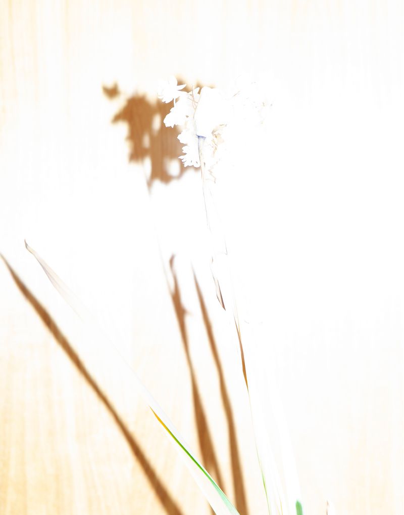 © Pamela Pecchio - Image from the Seizure photography project