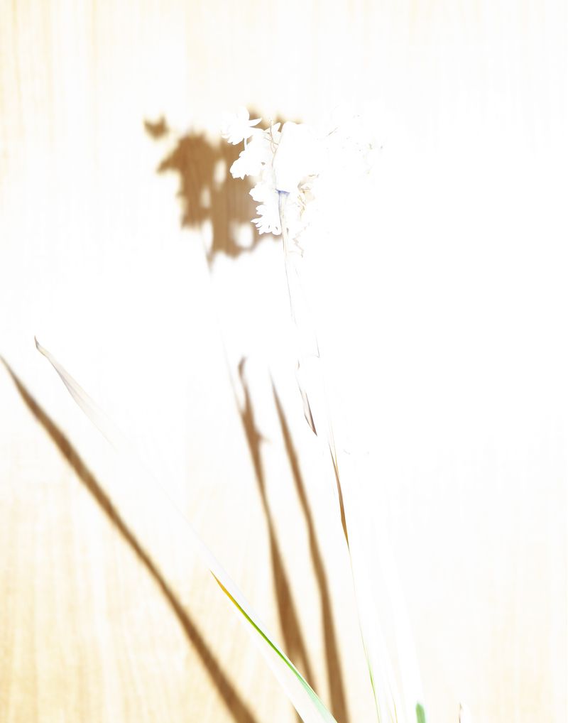 © Pamela Pecchio - Image from the Seizure photography project