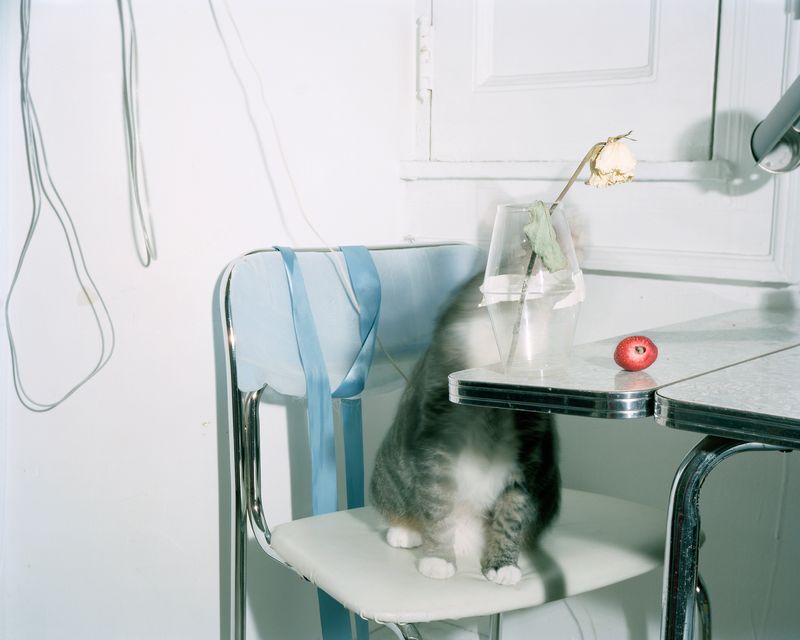 © Pamela Pecchio - Image from the Seizure photography project