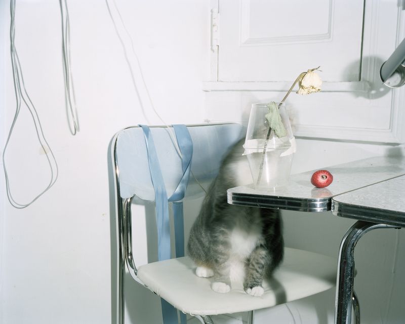 © Pamela Pecchio - Image from the Seizure photography project