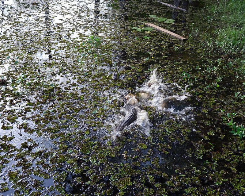 © Pamela Pecchio - Image from the Seizure photography project