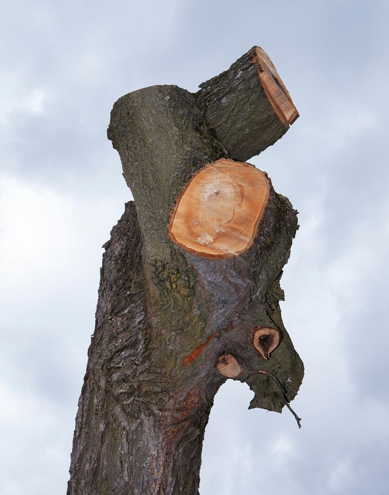 © Pamela Pecchio - Image from the Seizure photography project