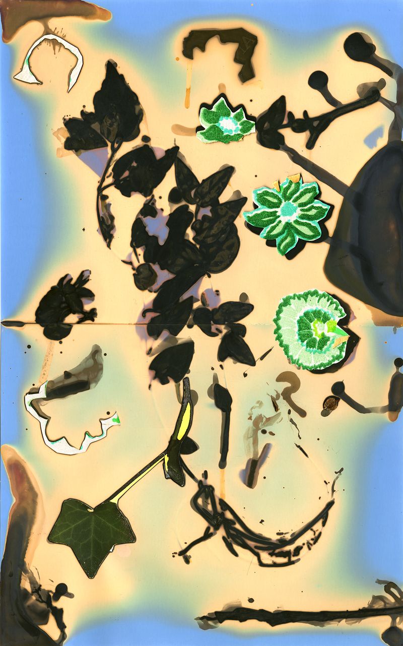 © Pamela Pecchio - Swarm (Swallowwort), Phytolumen Print
