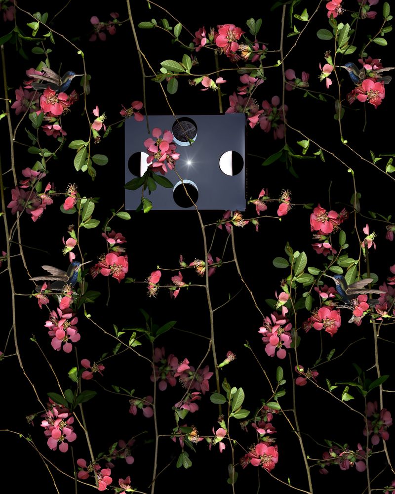 © Pamela Pecchio - Orbit, Archival Pigment Print with Surface Collage