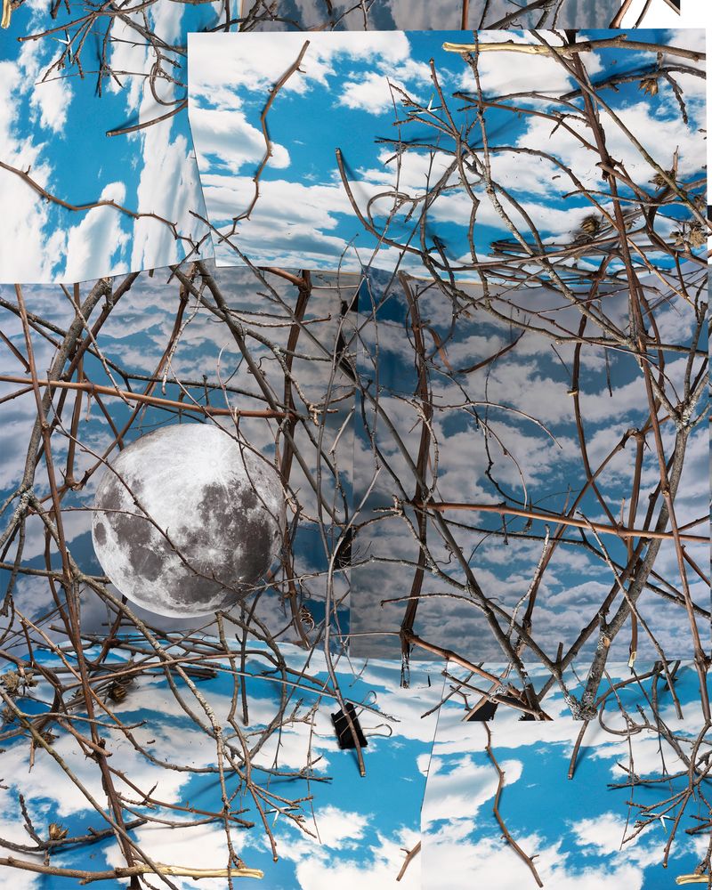 © Pamela Pecchio - The Upside Down #2, Archival Pigment Print