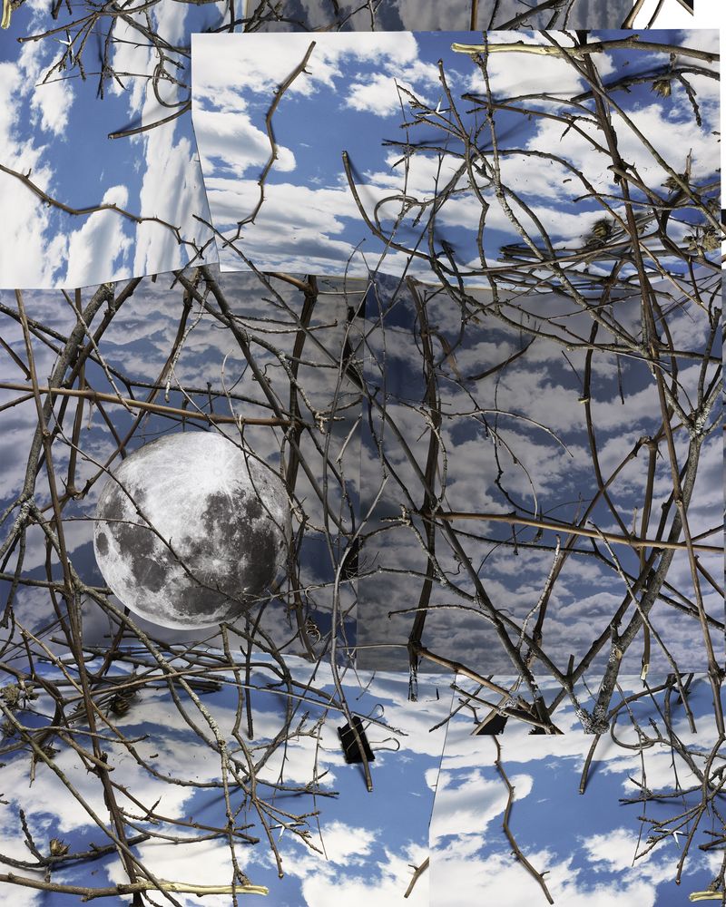 © Pamela Pecchio - The Upside Down #2, Archival Pigment Print
