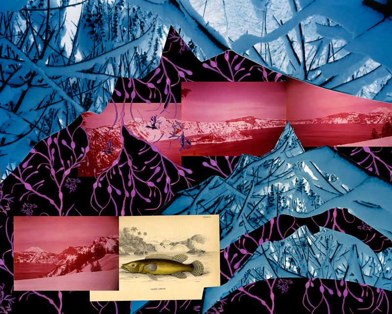 © Pamela Pecchio - Water, Archival Pigment Print