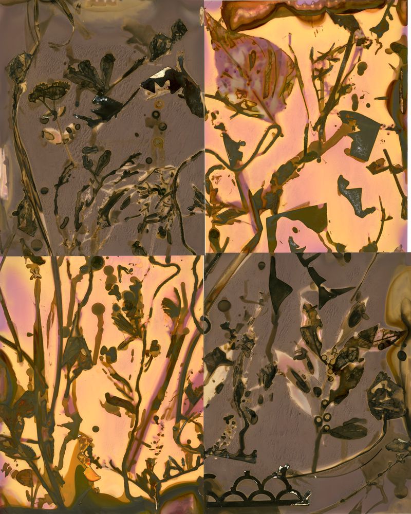 © Pamela Pecchio - Cluster (Barberry, Pokeweed, Yellow Iris), Phytolumen Print