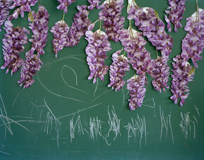 © Pamela Pecchio - Vines, Archival Pigment Print