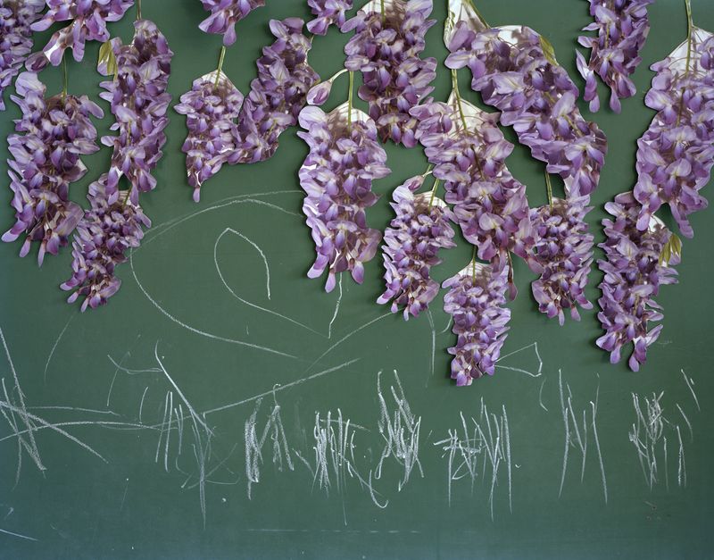 © Pamela Pecchio - Vines, Archival Pigment Print