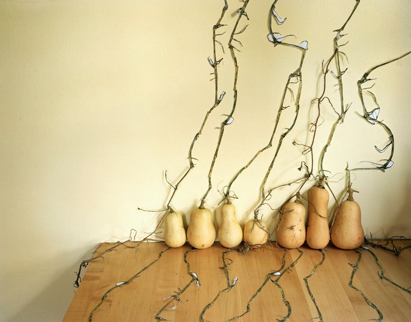 © Pamela Pecchio - Heirlooms, Archival Pigment Print