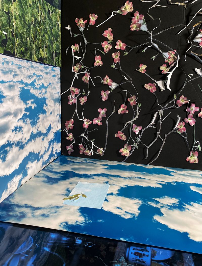 © Pamela Pecchio - The Upside Down #3, Archival Pigment Print