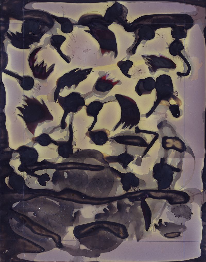 © Pamela Pecchio - Swarm (Fungus), Phytolumen