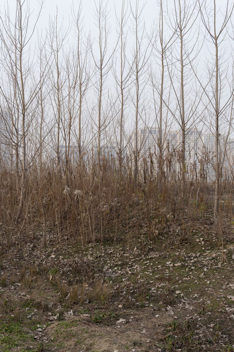 © Ihor Dudnyk - Image from the Hidden photography project