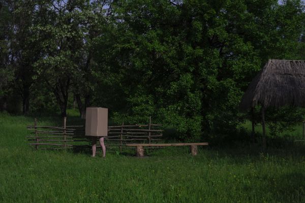 © Ihor Dudnyk - Box Man #1