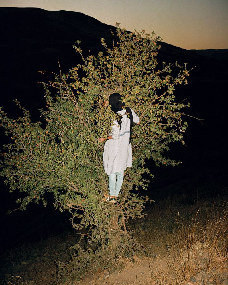 © Sarah Pannell - Image from the Tabriz to Shiraz photography project