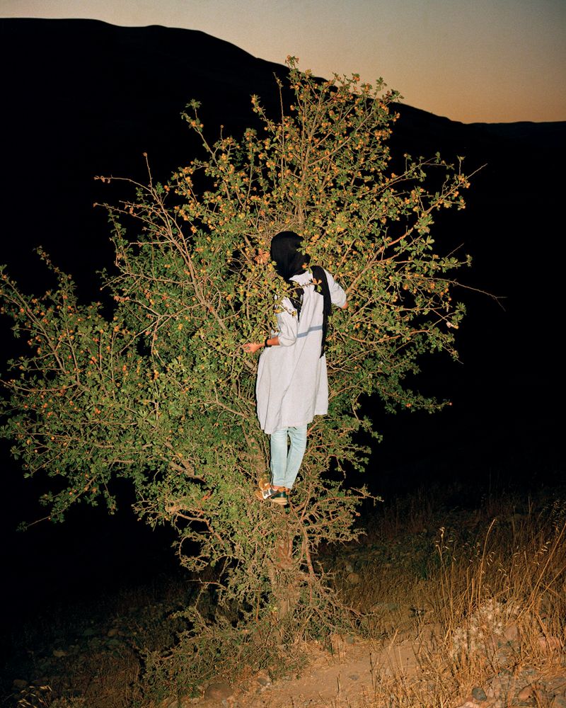 © Sarah Pannell - Image from the Tabriz to Shiraz photography project