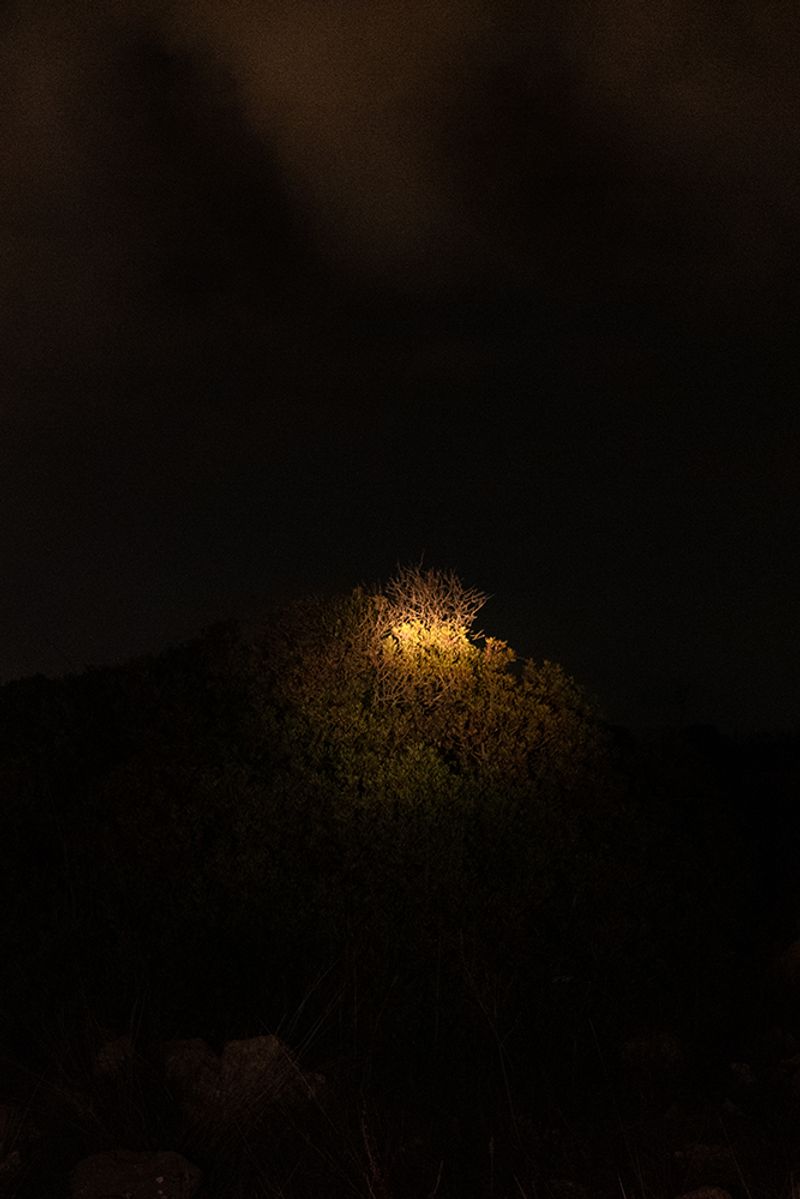 © Ilaria Ferrara - Image from the Collisione photography project