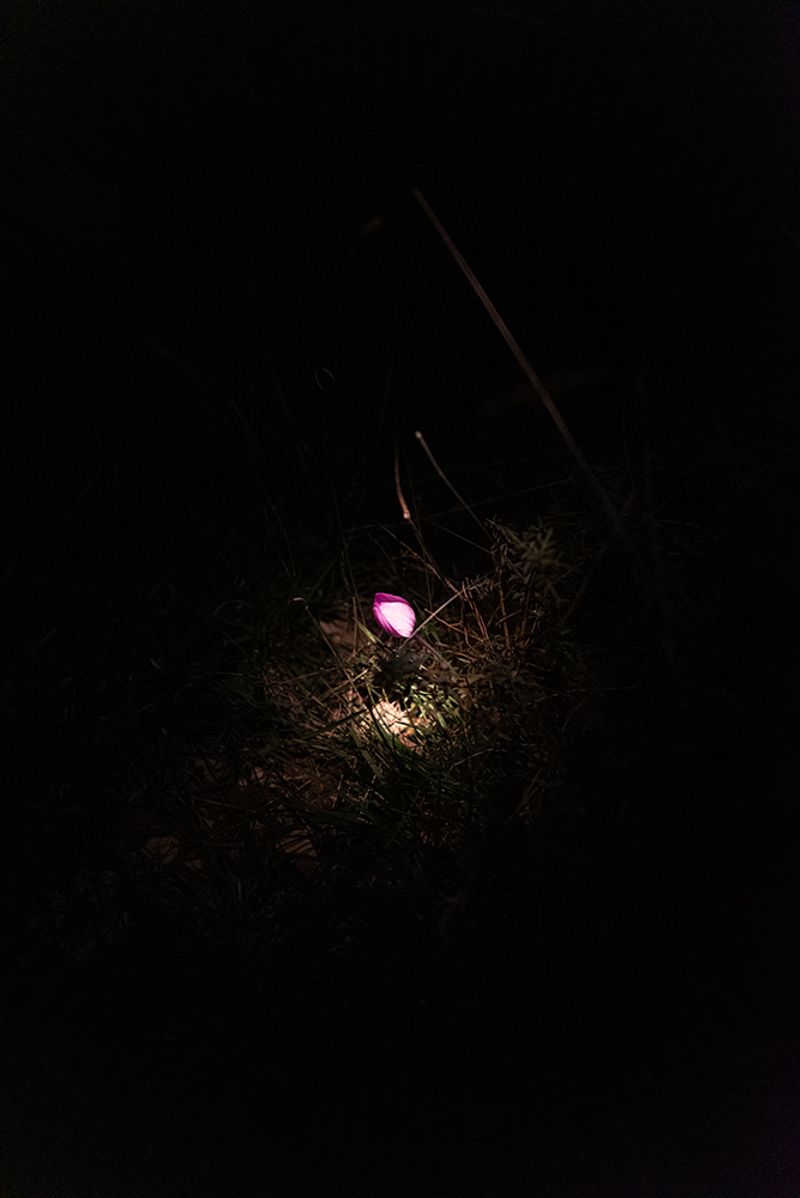 © Ilaria Ferrara - Image from the Collisione photography project