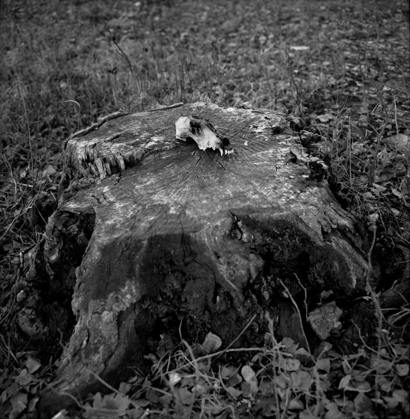 © Sabrina Caramanico - Image from the The Secrets of the Mother Mountain photography project